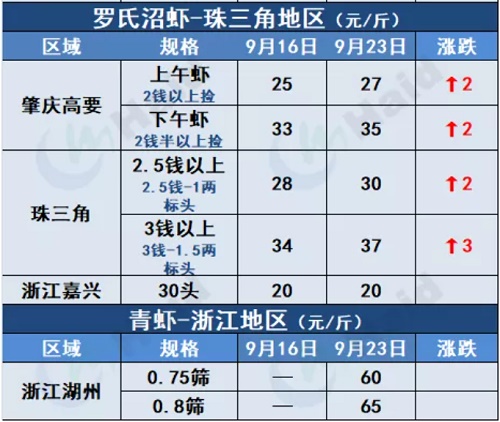 虾价行情 | 下周国庆！虾价能继续冲一波吗？