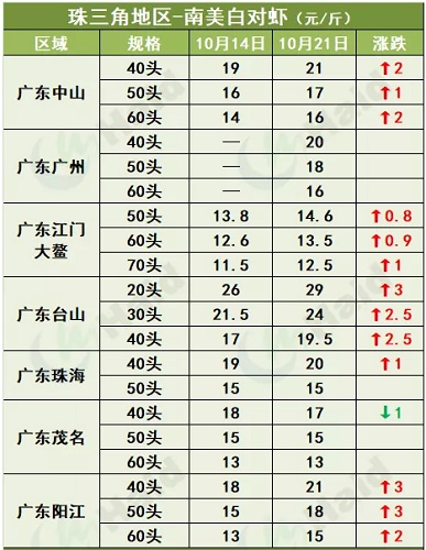 虾价行情 | 大虾有价！珠三角已全线涨起，华东小棚虾正陆续大量上市！