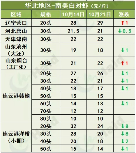 虾价行情 | 大虾有价！珠三角已全线涨起，华东小棚虾正陆续大量上市！