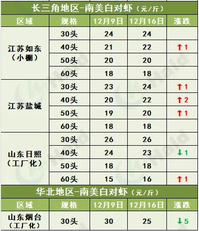 虾价行情 | 全线上涨！白虾价格开始冲刺冬至了吗？