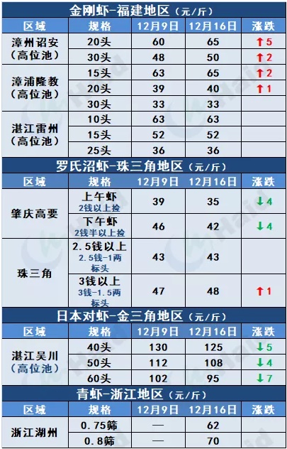 虾价行情 | 全线上涨！白虾价格开始冲刺冬至了吗？