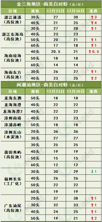 虾价行情 | 有大虾有好价！多地虾价集体冲刺元旦！