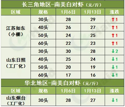 虾价行情 | 最高涨20元/斤！花虾价格暴涨，白虾价格也会涨吗？