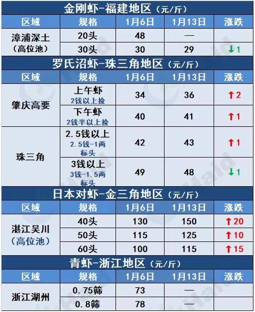 虾价行情 | 最高涨20元/斤！花虾价格暴涨，白虾价格也会涨吗？