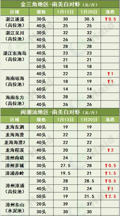 虾价行情 | 最高跌4元/斤，疫情地区的白虾价格春节前会反弹吗？