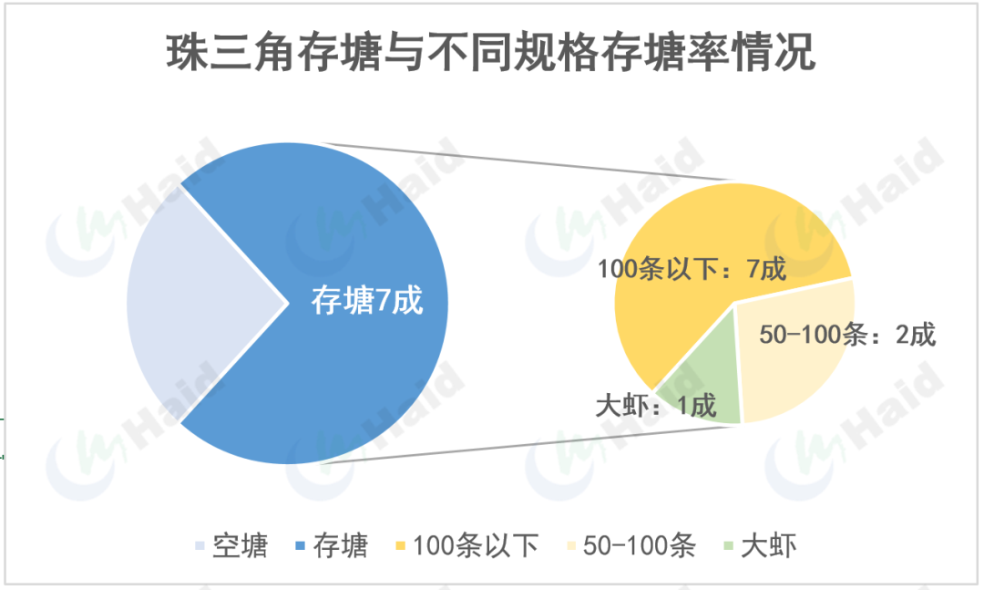 虾价观察 | 市场大虾断节，虾价持续上涨，气温上升导致的养殖问题加剧！