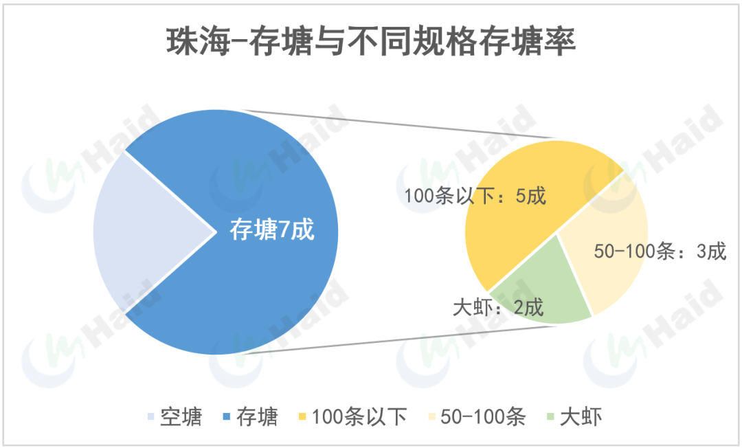 虾价观察 | 市场大虾断节，虾价持续上涨，气温上升导致的养殖问题加剧！