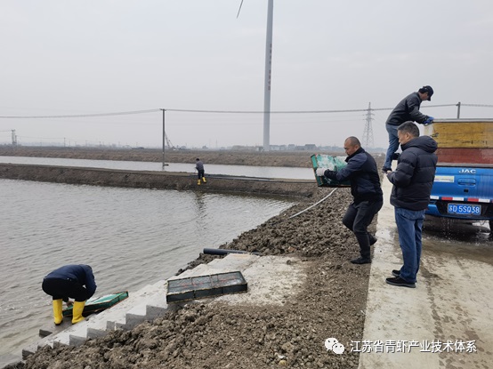 江苏省青虾体系宜兴推广示范基地顺利完成青虾“太湖2号”种虾及二代苗引进工作