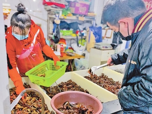 龙虾高价登场、野生黄鳝大量上市…… 河鲜接棒成菜市场“新贵”