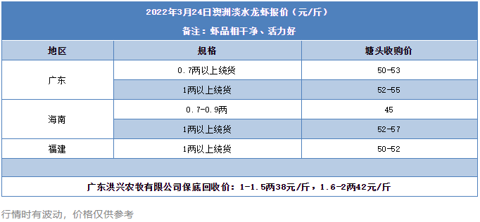 惨！这条虾暴跌3元/斤，销量骤减八成