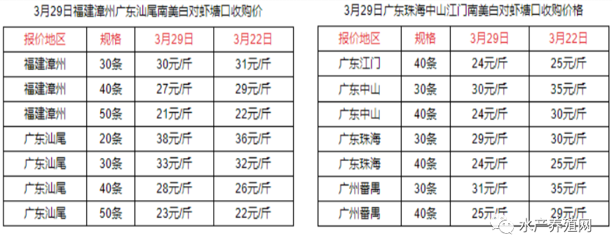 网红就是牛！小龙虾很贵，却比对虾好卖！再等等，4月下旬“小龙虾自由”