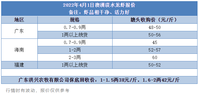 餐饮盯上这条虾！消费量回升，最高卖60元/斤