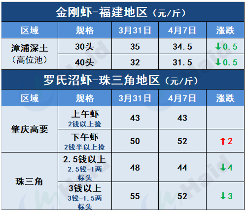 虾价行情 | 清明节已过，各地虾价如何？