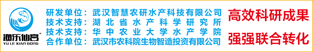 渔乐仙宫-“跑道养鱼”循环水高效养鱼系统