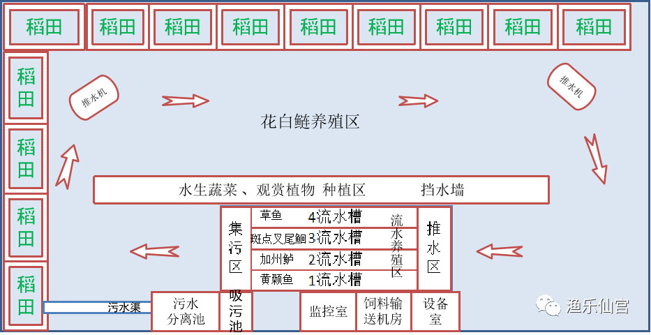 渔乐仙宫-“跑道养鱼”循环水高效养鱼系统