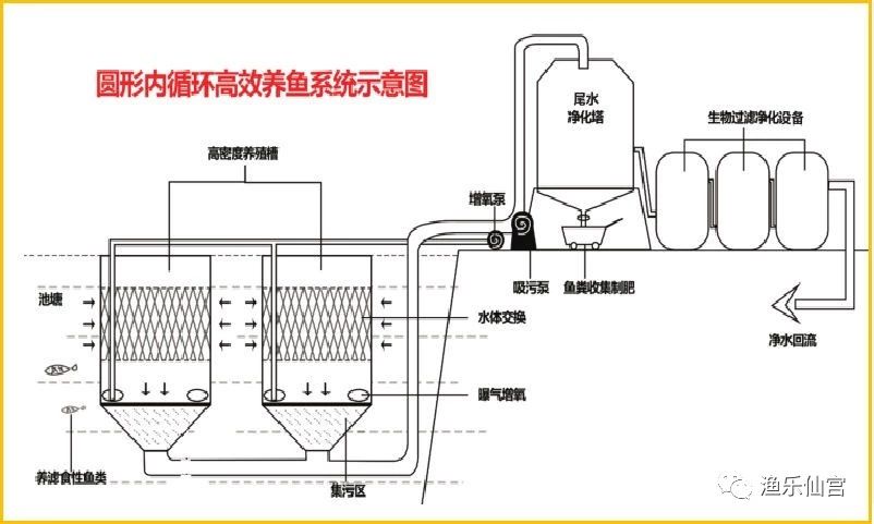 渔乐仙宫-“跑道养鱼”循环水高效养鱼系统