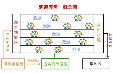 浙江龙泉市兰巨乡：试点“跑道养鱼”“跑”出“生态经济”