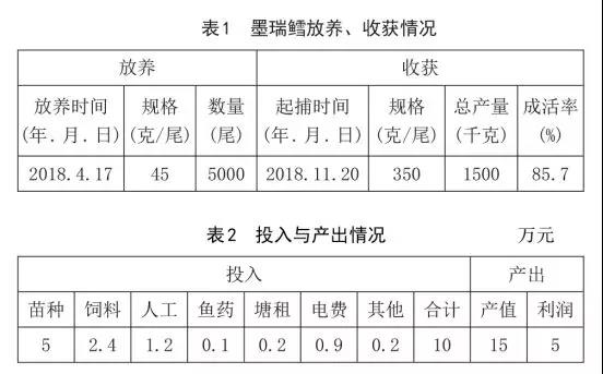 技术 | 澳洲“国宝鱼”墨瑞鳕池塘内循环流水养殖