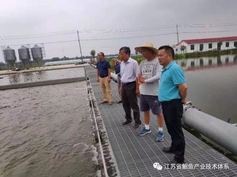 宿迁市农业农村局潘刚副局长一行赴宿迁流水槽养殖t鱼基地现场调研指导工作