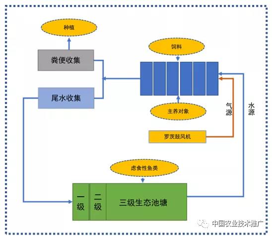 【重大引领性技术】受控式集装箱循环水绿色高效养殖技术集成示范