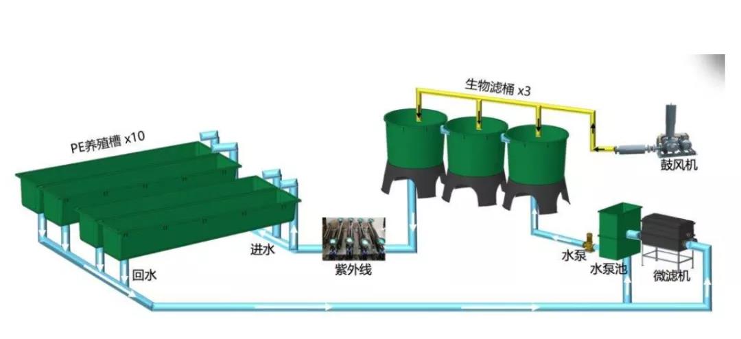 打破场地限制！产量高、效益好，工厂化养殖模式存在问题以及发展趋势浅谈！