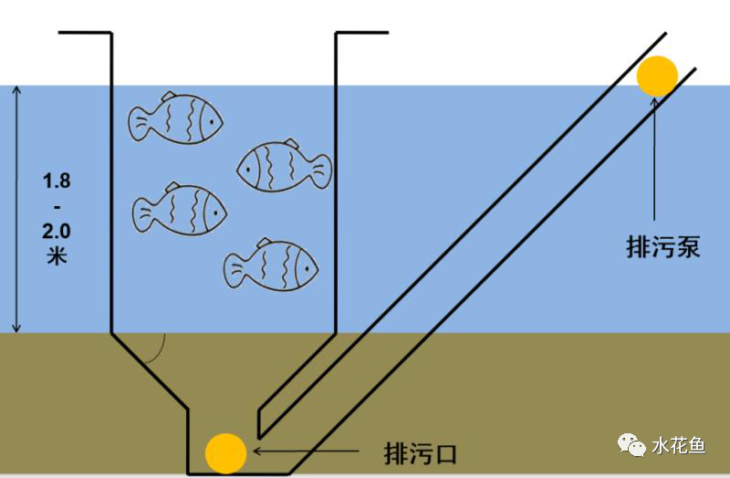 说一下工厂化养鱼和循环水养殖：“一哄而上，一搞就垮”的浅见！循环水养鱼、箱式养鱼