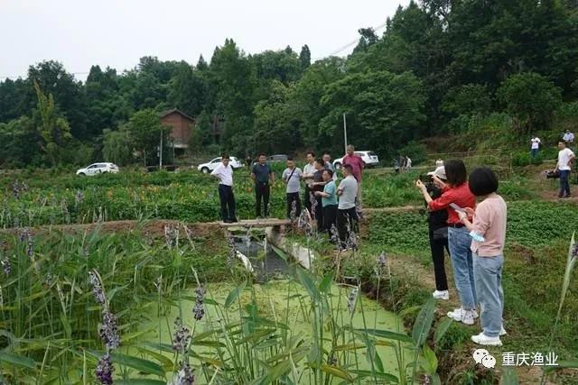 池塘生态循环技术示范展示基地建设项目通过验收