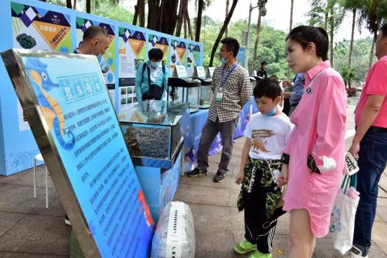 2020年广东省水生野生动物保护科普宣传月活动启动 无害化销毁罚没海马干470余