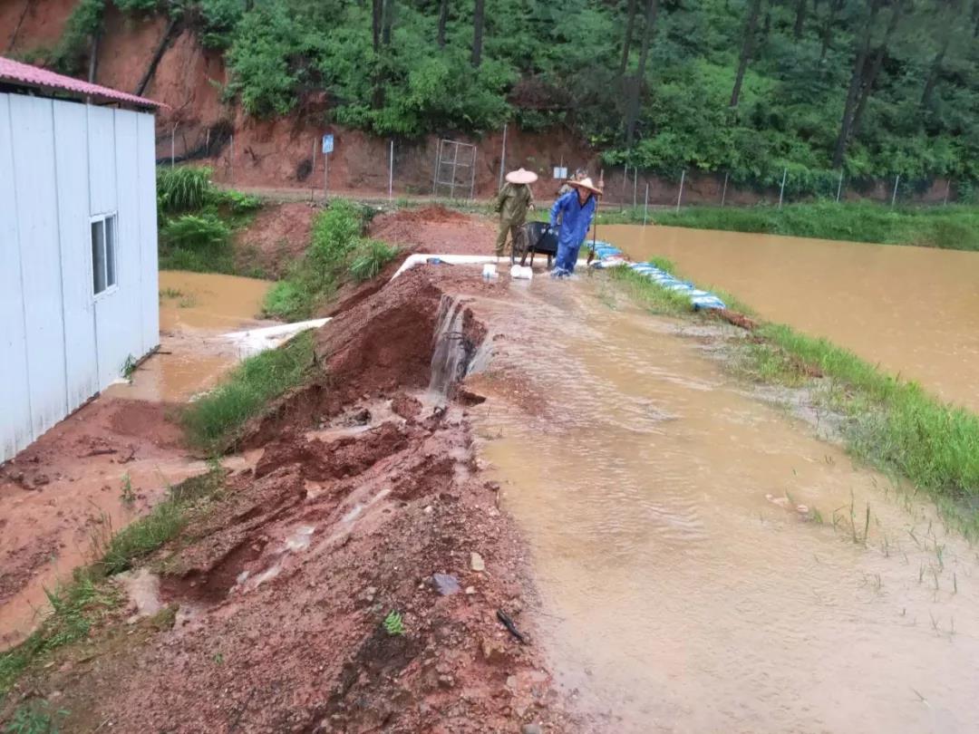 江西超120万人受灾！广东、广西、福建进入紧急状态，疯狂暴雨又将令多少养殖户绝收