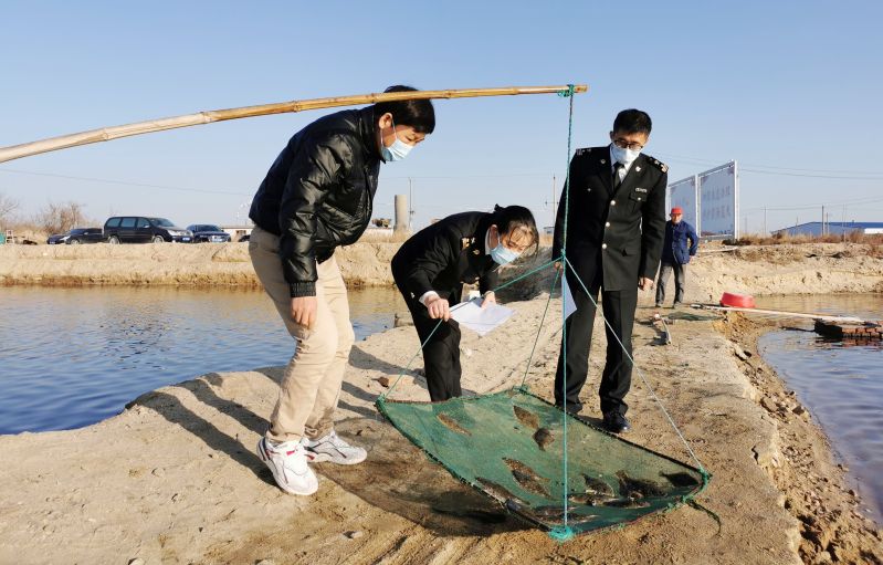 连年有“鱼”  山东莱州石鲽鱼今年首次出口韩国（图）