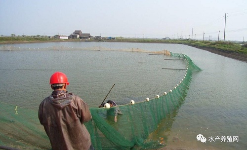 万亿预制菜蓝海市场，破除水产业痛点，京东国联等巨头已动手，助推产业转型升级！