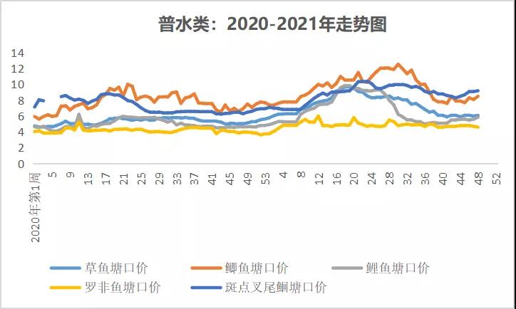 普涨 | 斑节对虾存塘告急，10头价格高达74元/斤！|一周鱼价行情播报