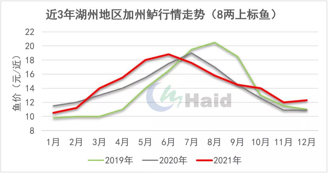 鱼价观察 | 详细分析！湖州四大特种鱼近3年行情发生了什么变化？