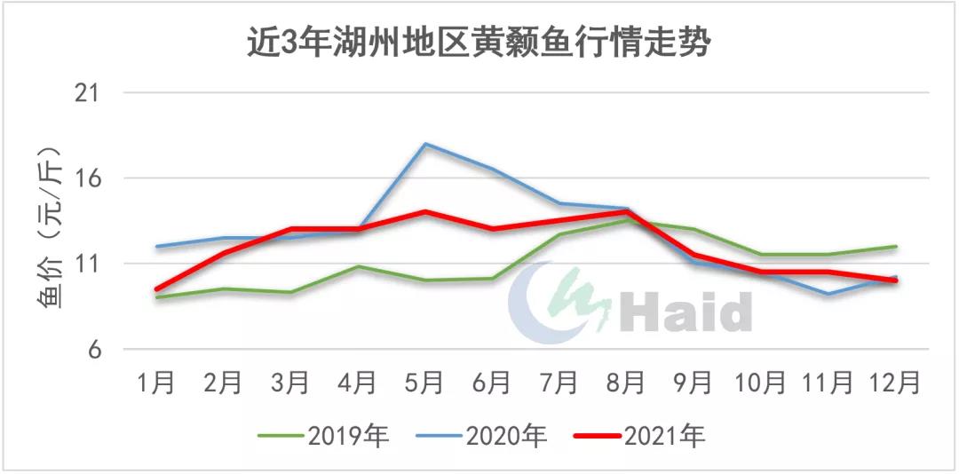 鱼价观察 | 详细分析！湖州四大特种鱼近3年行情发生了什么变化？