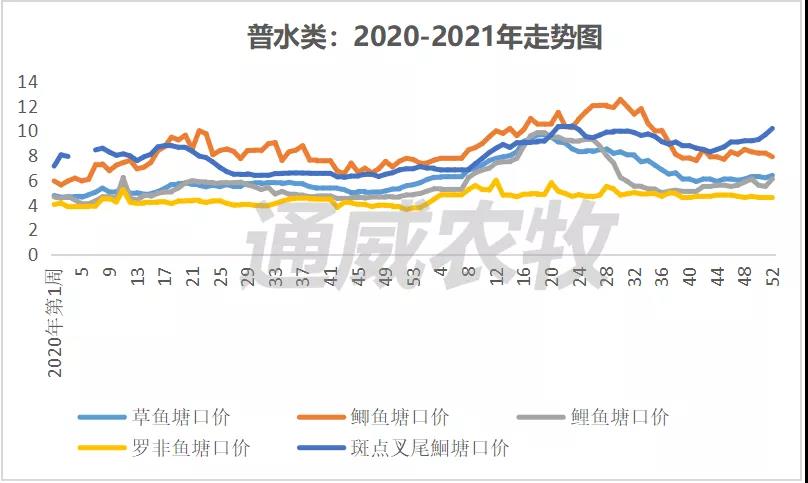 元旦遇上疫情，流通减缓，广西对虾价格最高下跌5元/斤！|一周鱼价行情播报