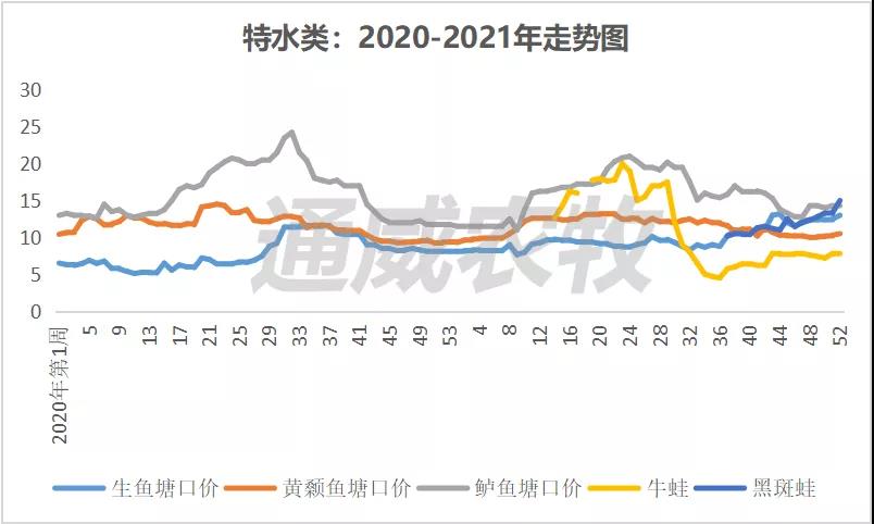 元旦遇上疫情，流通减缓，广西对虾价格最高下跌5元/斤！|一周鱼价行情播报