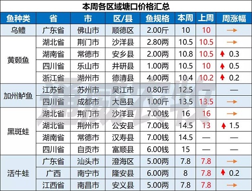 元旦遇上疫情，流通减缓，广西对虾价格最高下跌5元/斤！|一周鱼价行情播报