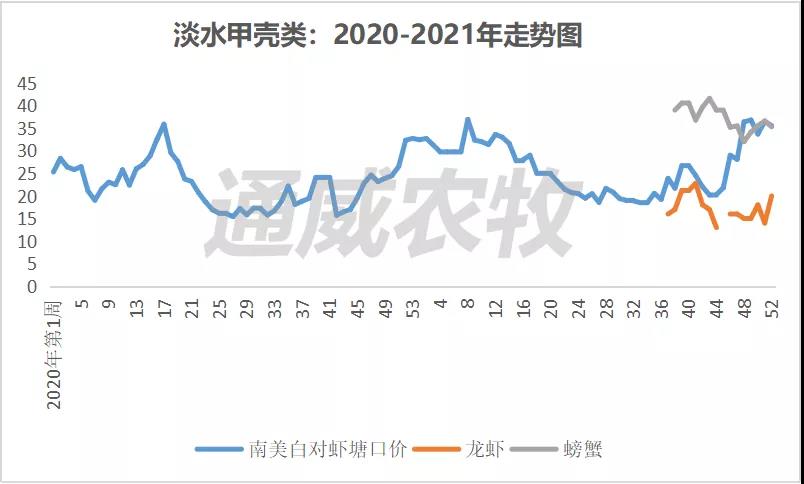 元旦遇上疫情，流通减缓，广西对虾价格最高下跌5元/斤！|一周鱼价行情播报