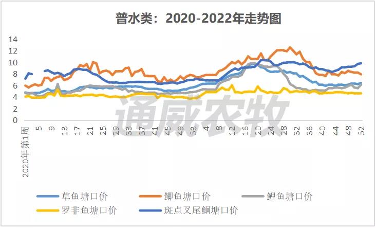 全线上涨！这几条鱼存塘减少，后市价格或将持续走高！