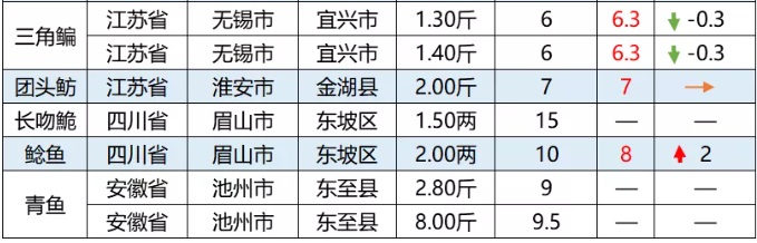 全线上涨！这几条鱼存塘减少，后市价格或将持续走高！