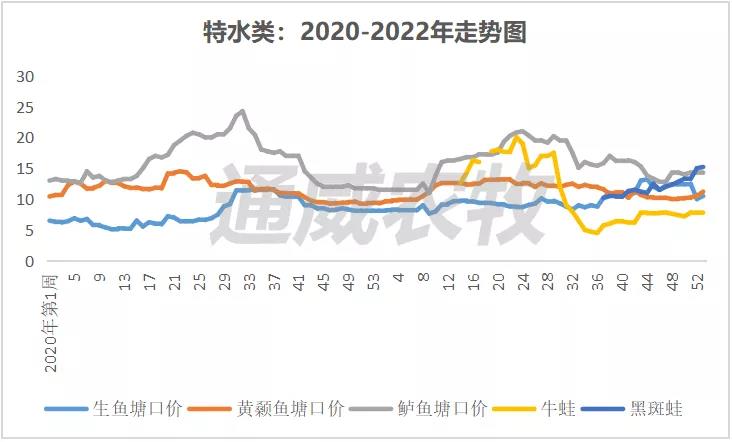 全线上涨！这几条鱼存塘减少，后市价格或将持续走高！