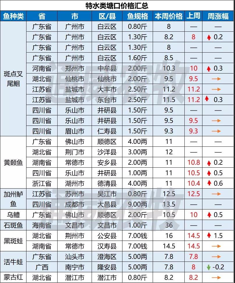 全线上涨！这几条鱼存塘减少，后市价格或将持续走高！