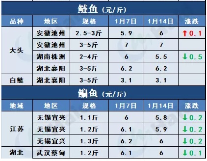 鱼价行情 | 临近春节+多地发生疫情，鱼价会怎么变？