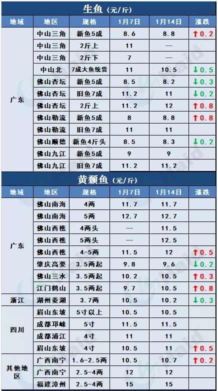 鱼价行情 | 临近春节+多地发生疫情，鱼价会怎么变？