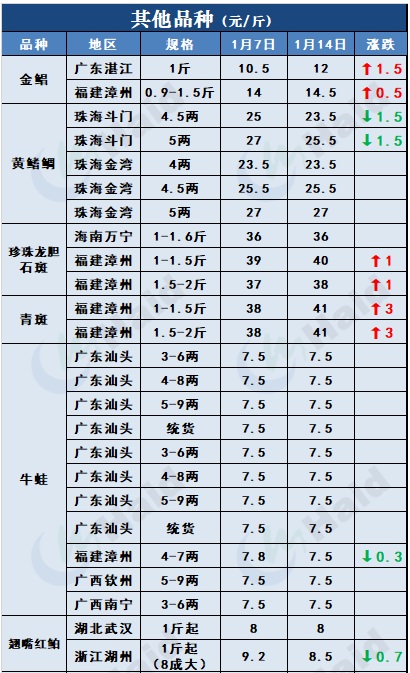 鱼价行情 | 临近春节+多地发生疫情，鱼价会怎么变？