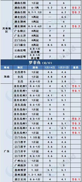 鱼价行情 | 加州鲈上涨，大鱼更受欢迎！临近年关价格还能涨多少？