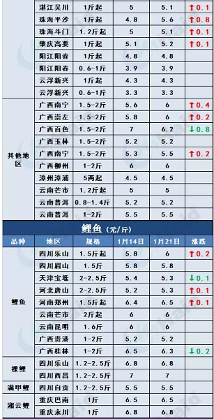 鱼价行情 | 加州鲈上涨，大鱼更受欢迎！临近年关价格还能涨多少？