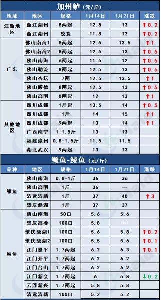 鱼价行情 | 加州鲈上涨，大鱼更受欢迎！临近年关价格还能涨多少？