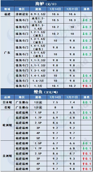 鱼价行情 | 加州鲈上涨，大鱼更受欢迎！临近年关价格还能涨多少？