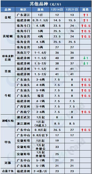 鱼价行情 | 加州鲈上涨，大鱼更受欢迎！临近年关价格还能涨多少？